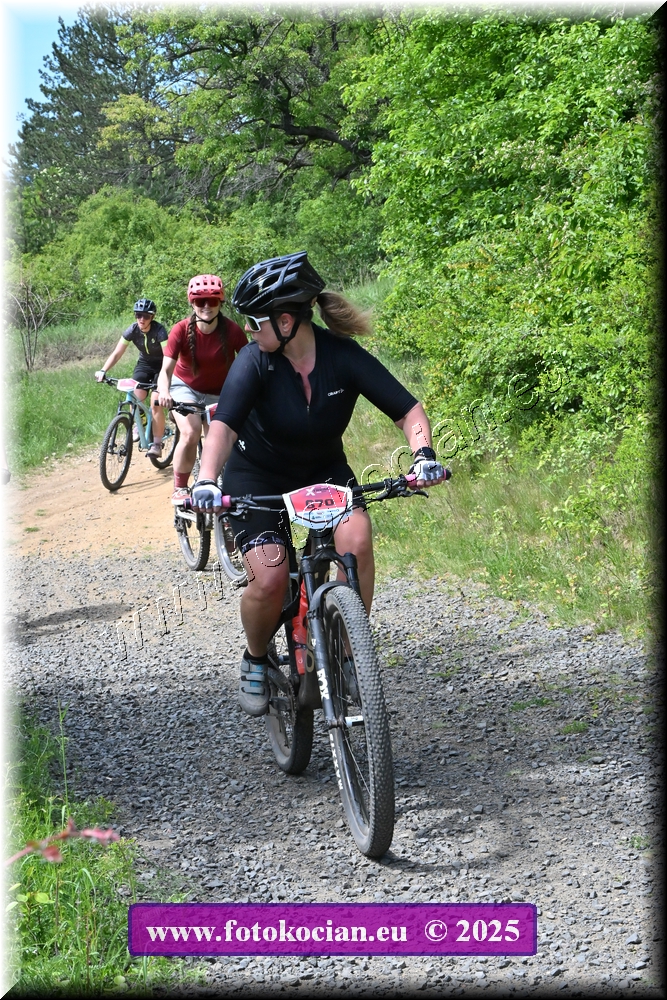 Náhled obrázku: 2025-1842-Most-670.JPG