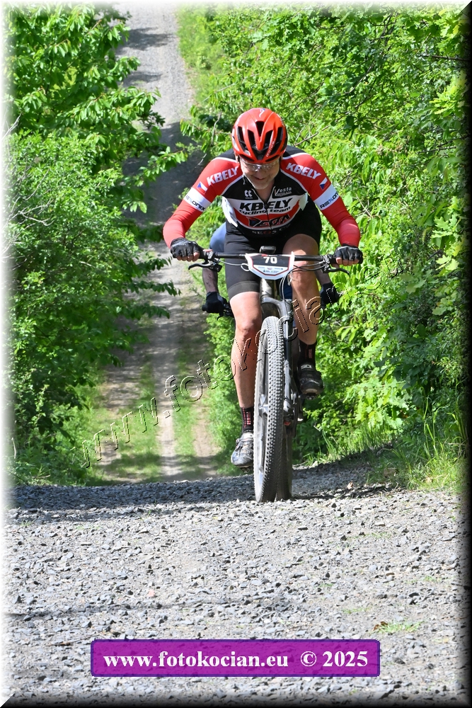 Náhled obrázku: 2025-1965-Most-70.JPG