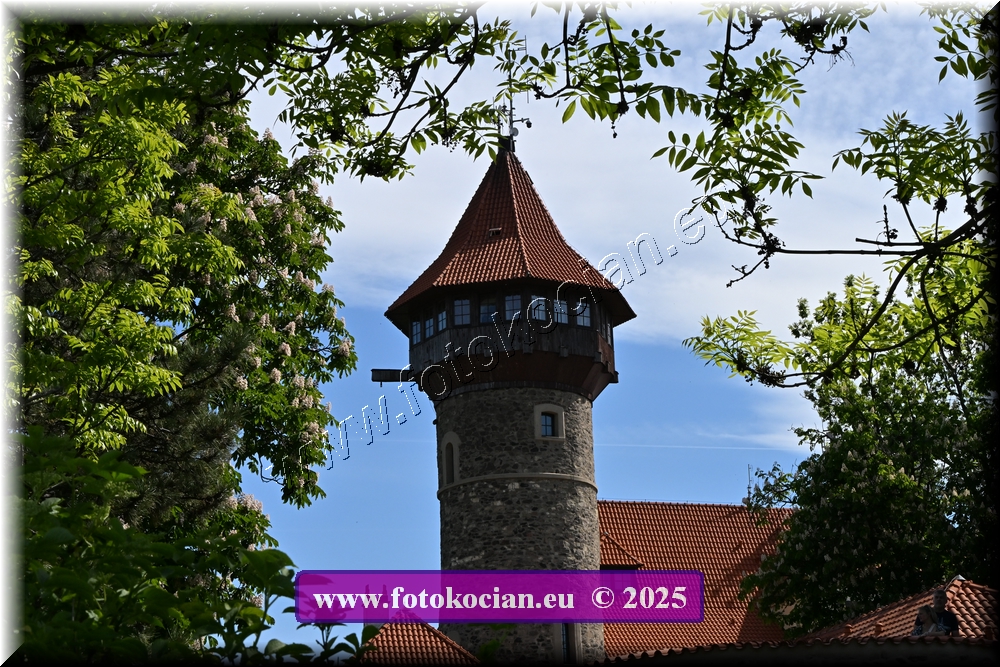 Náhled obrázku: 2025-1992-Most-.JPG