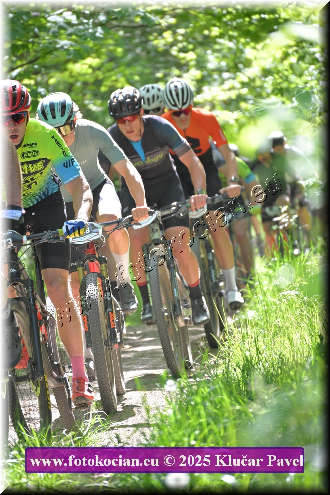 Náhled obrázku: 2025-2007-Most-73.JPG