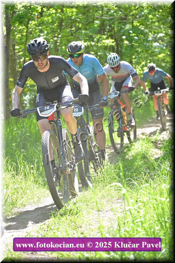 Náhled obrázku: 2025-2016-Most-78.JPG