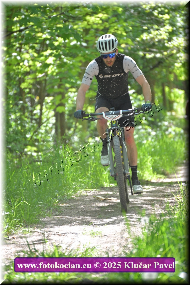 Náhled obrázku: 2025-2025-Most-77.JPG