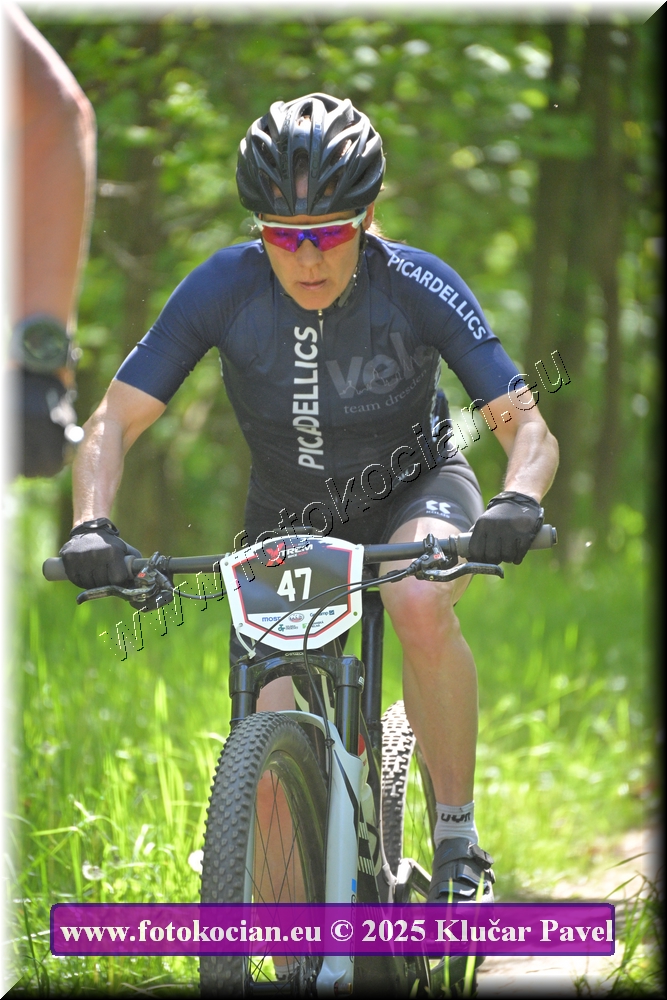 Náhled obrázku: 2025-2077-Most-47.JPG