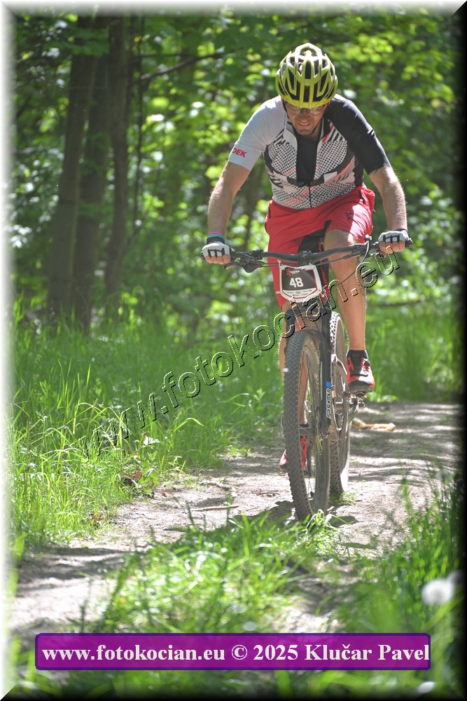 Náhled obrázku: 2025-2101-Most-48.JPG