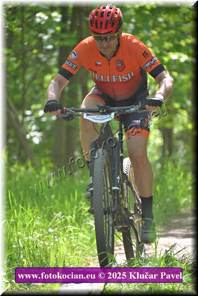 Náhled obrázku: 2025-2137-Most-0.JPG