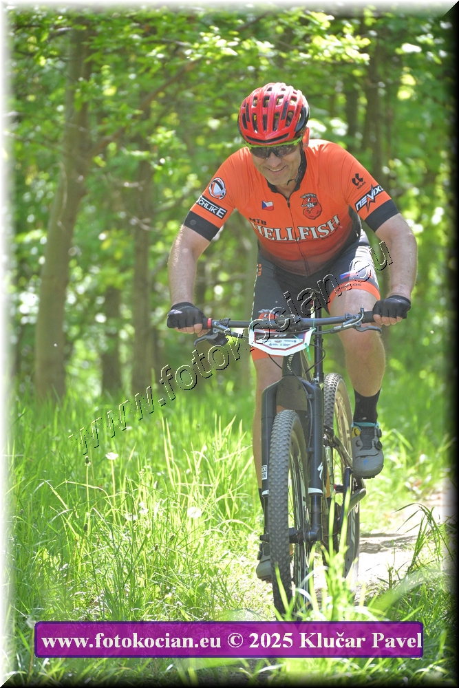 Náhled obrázku: 2025-2138-Most-0.JPG