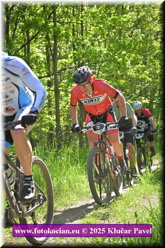 Náhled obrázku: 2025-2144-Most-76.JPG