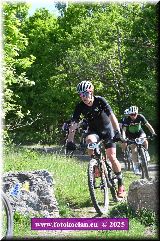 Náhled obrázku: 2025-1035-Most-121.JPG