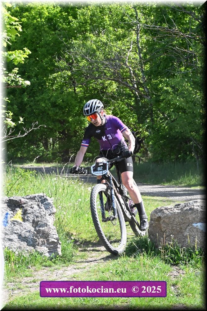 Náhled obrázku: 2025-1039-Most-82.JPG