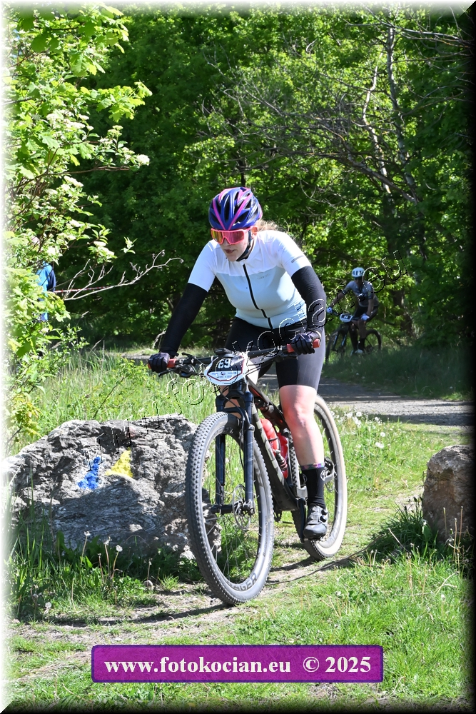 Náhled obrázku: 2025-1091-Most-69.JPG