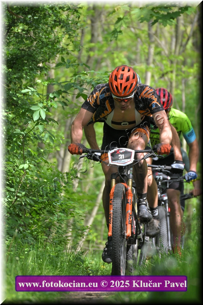 Náhled obrázku: 2025-2161-Most-31.JPG