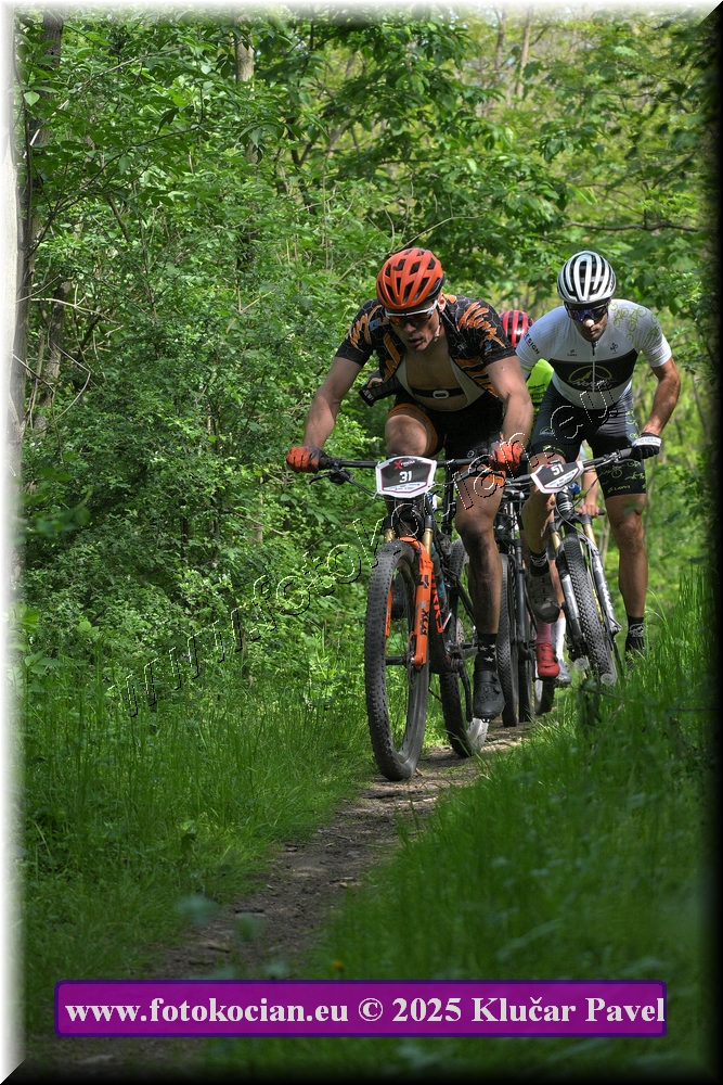 Náhled obrázku: 2025-2163-Most-31,51.JPG