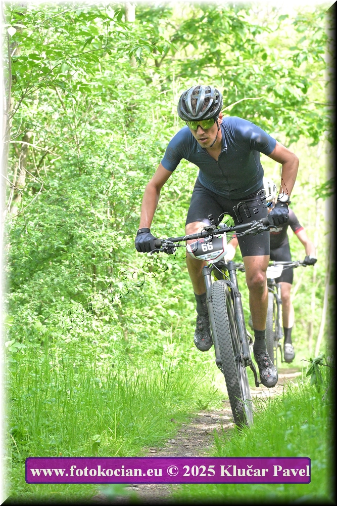 Náhled obrázku: 2025-2171-Most-66.JPG