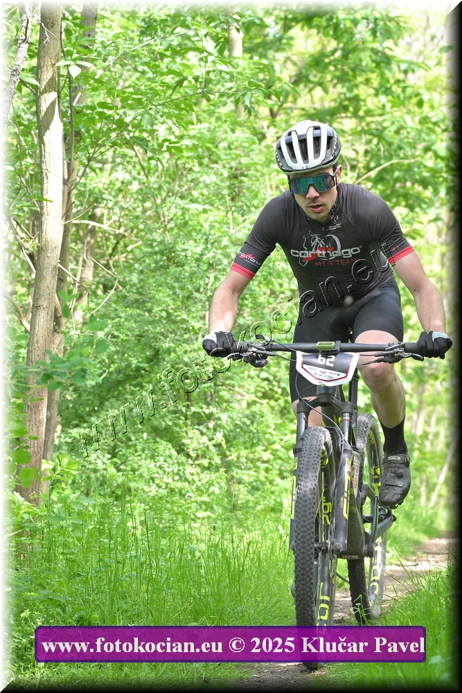 Náhled obrázku: 2025-2172-Most-62.JPG