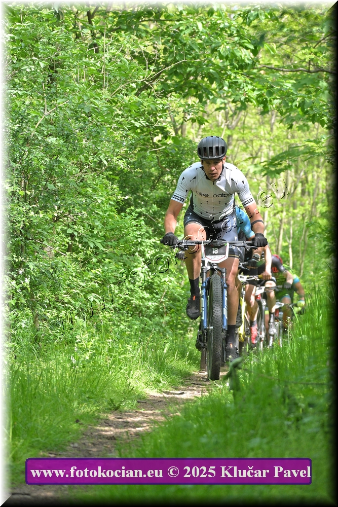 Náhled obrázku: 2025-2173-Most-18.JPG