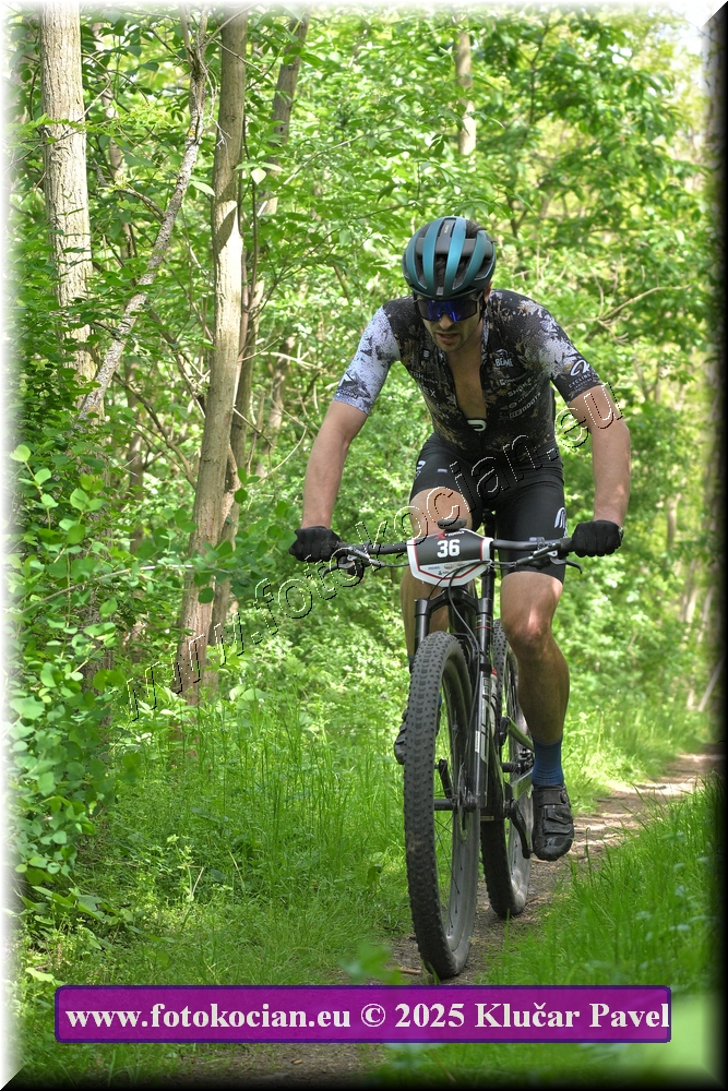 Náhled obrázku: 2025-2180-Most-36.JPG