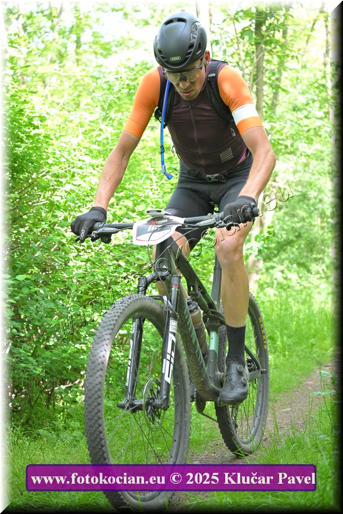 Náhled obrázku: 2025-2202-Most-119.JPG