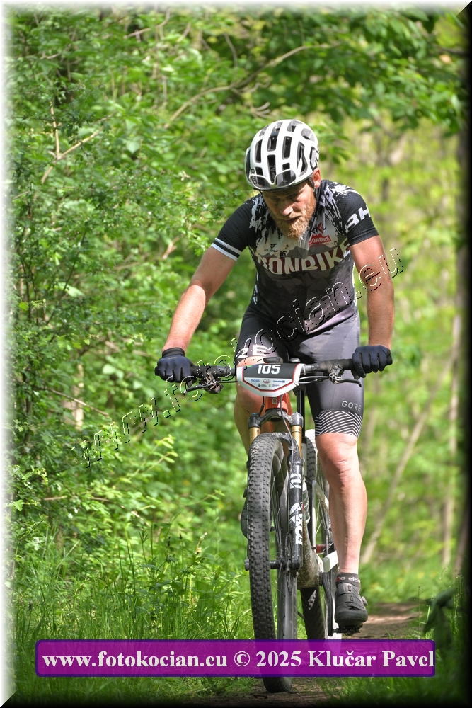 Náhled obrázku: 2025-2220-Most-105.JPG