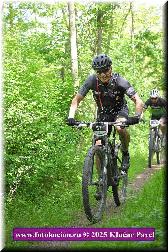 Náhled obrázku: 2025-2225-Most-57.JPG