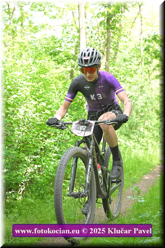 Náhled obrázku: 2025-2232-Most-82.JPG