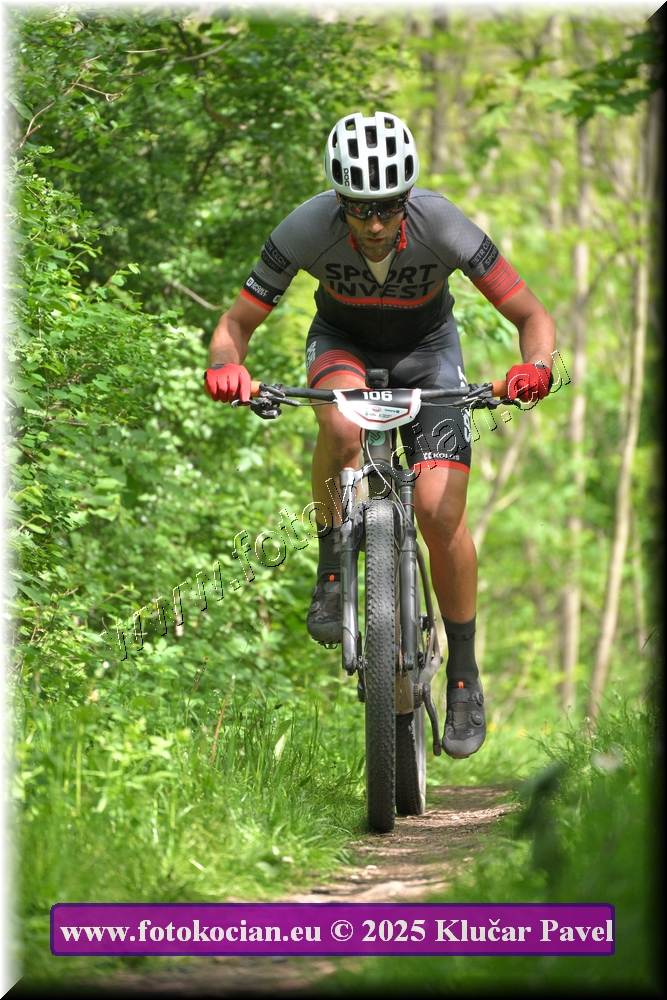 Náhled obrázku: 2025-2234-Most-106.JPG