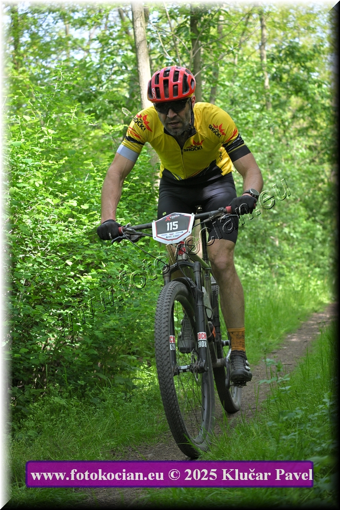 Náhled obrázku: 2025-2259-Most-115.JPG