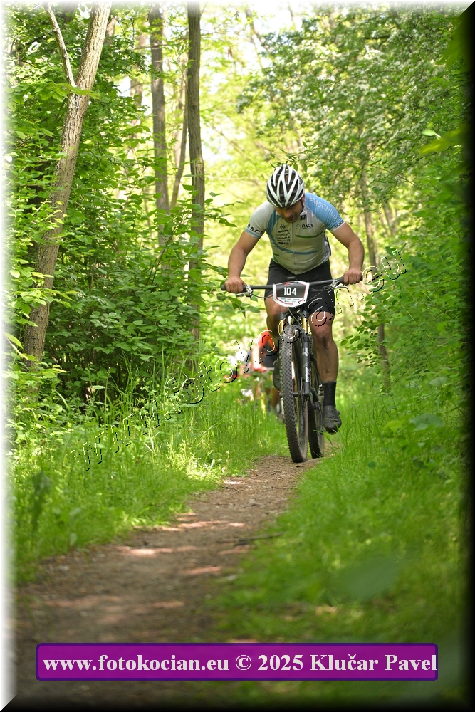 Náhled obrázku: 2025-2268-Most-104.JPG