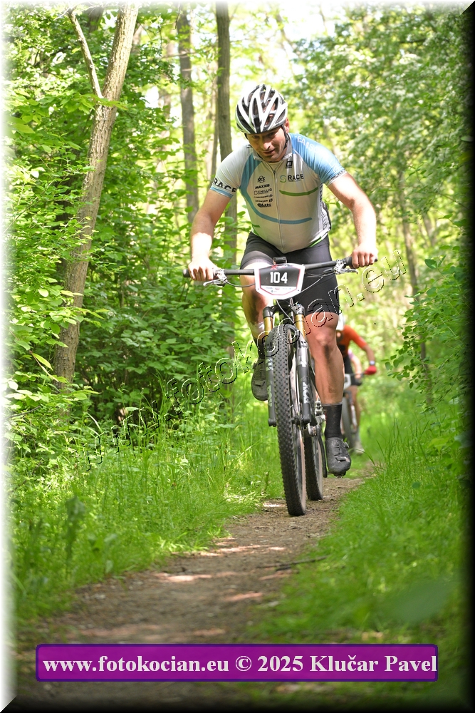 Náhled obrázku: 2025-2269-Most-104.JPG