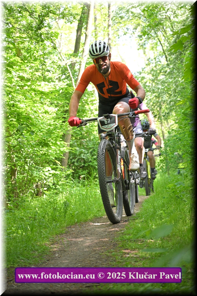 Náhled obrázku: 2025-2272-Most-67.JPG