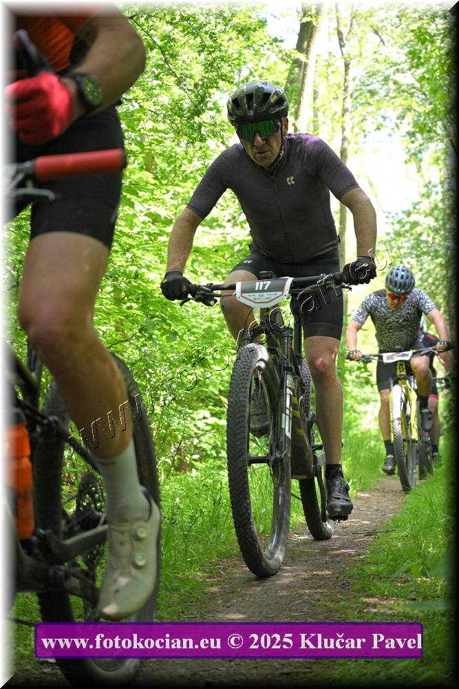 Náhled obrázku: 2025-2273-Most-117.JPG