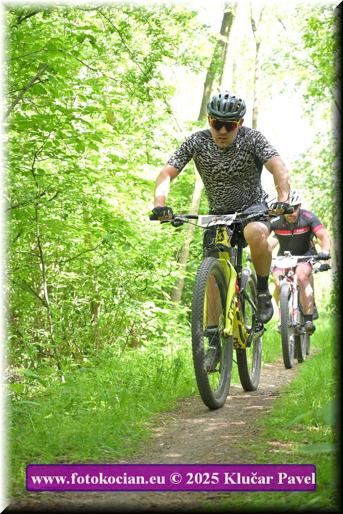 Náhled obrázku: 2025-2274-Most-0.JPG