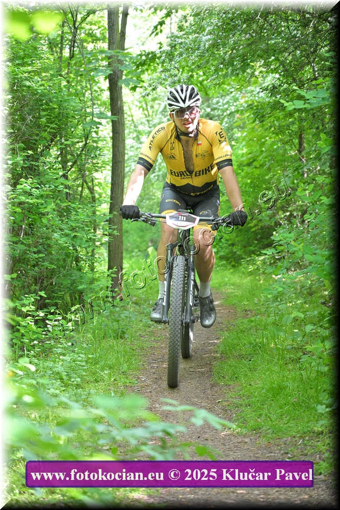 Náhled obrázku: 2025-2278-Most-111.JPG