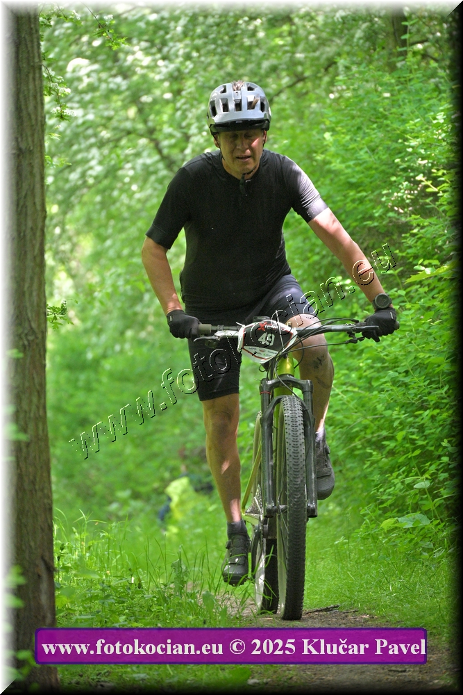 Náhled obrázku: 2025-2290-Most-49.JPG