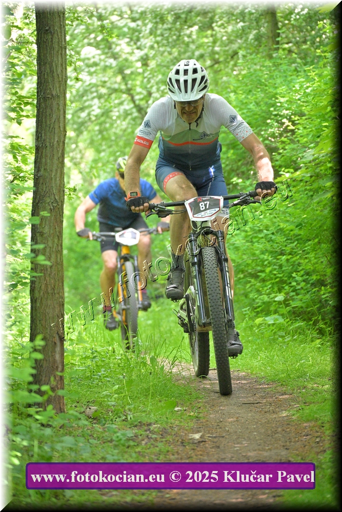 Náhled obrázku: 2025-2305-Most-87.JPG