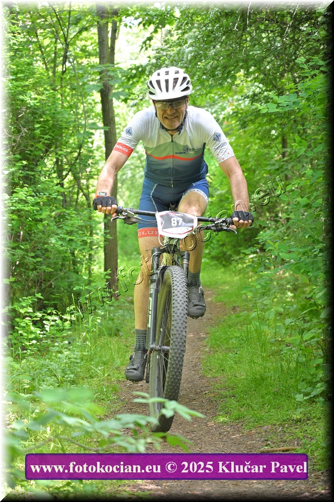 Náhled obrázku: 2025-2308-Most-87.JPG