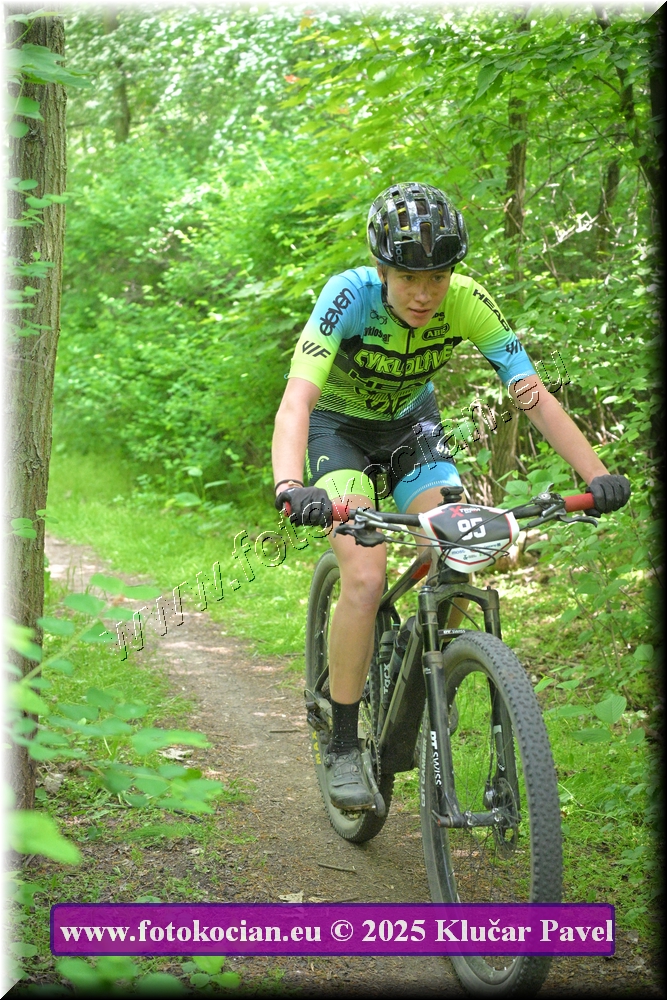 Náhled obrázku: 2025-2320-Most-95.JPG