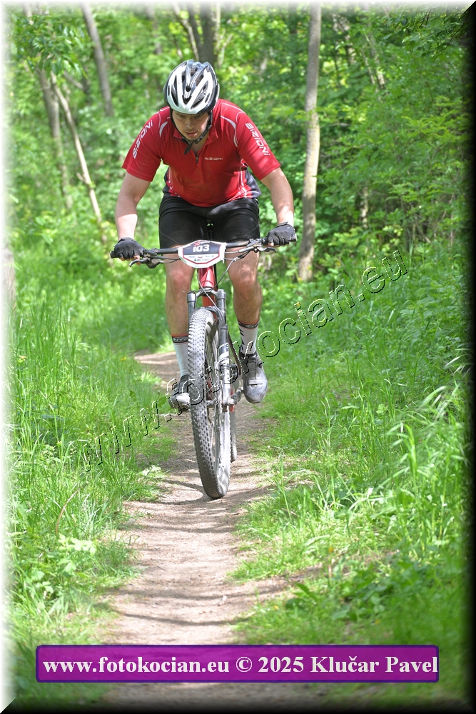 Náhled obrázku: 2025-2331-Most-103.JPG