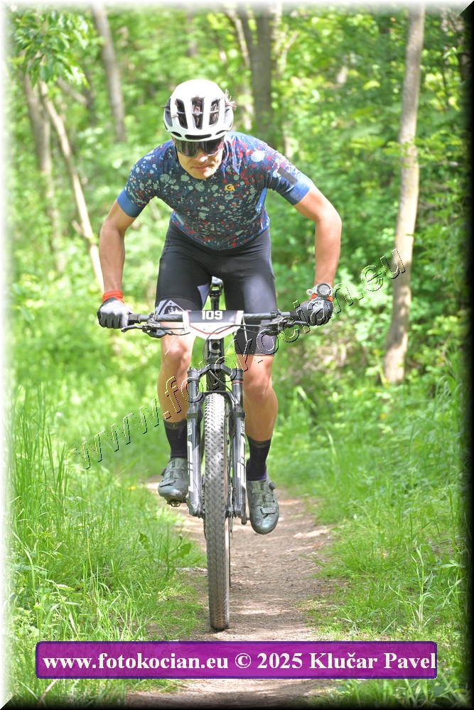 Náhled obrázku: 2025-2340-Most-109.JPG