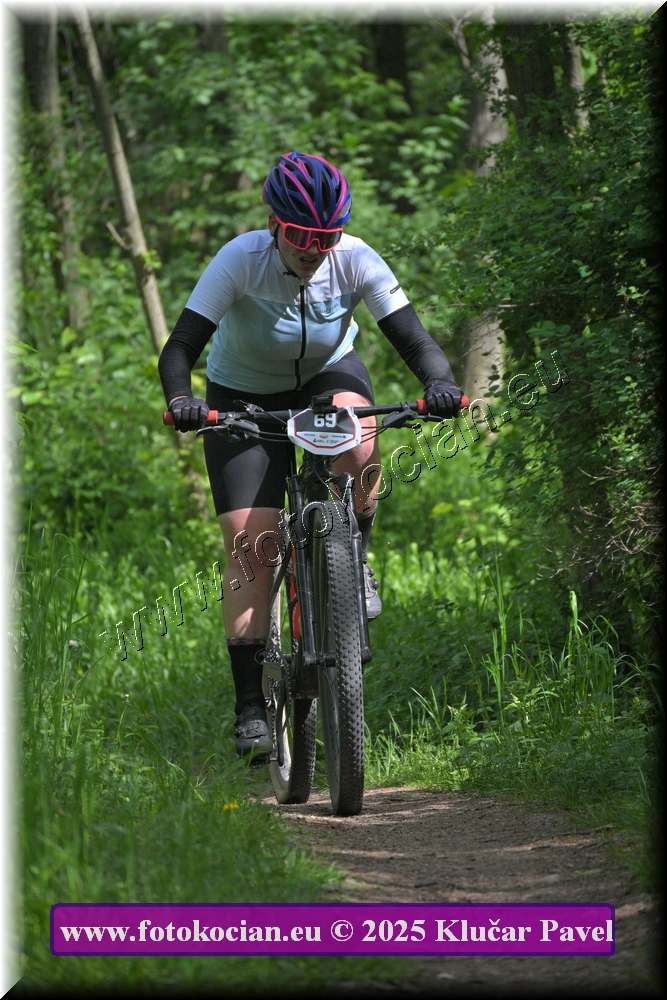 Náhled obrázku: 2025-2343-Most-69.JPG