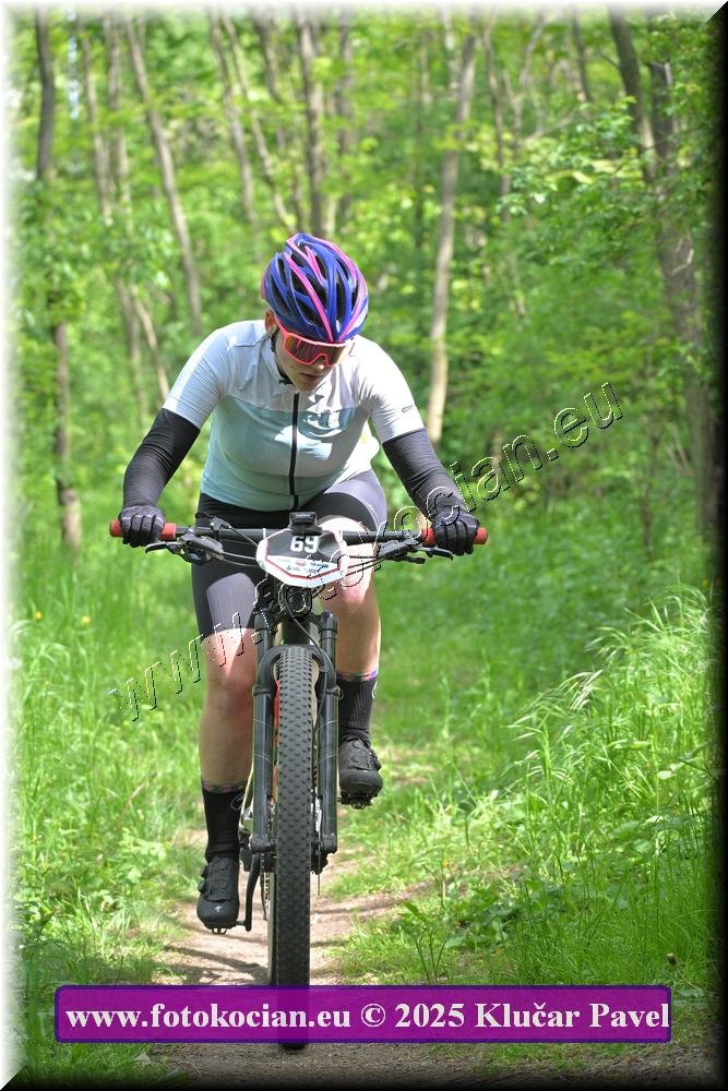 Náhled obrázku: 2025-2346-Most-69.JPG