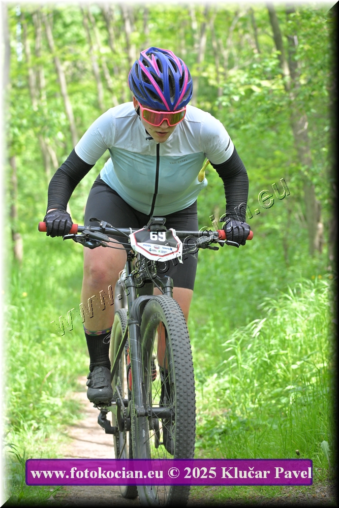 Náhled obrázku: 2025-2347-Most-69.JPG