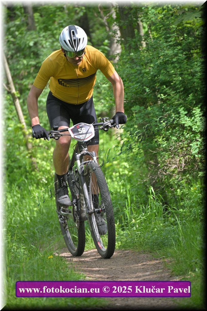 Náhled obrázku: 2025-2351-Most-56.JPG