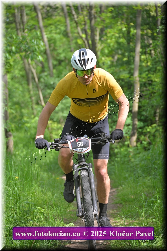 Náhled obrázku: 2025-2353-Most-56.JPG