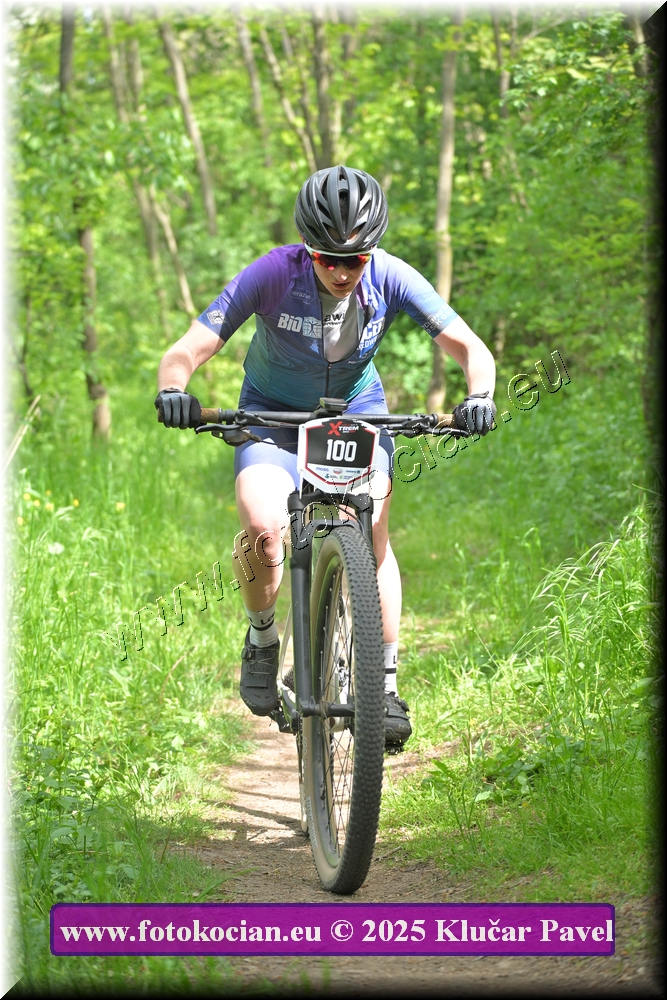 Náhled obrázku: 2025-2368-Most-100.JPG