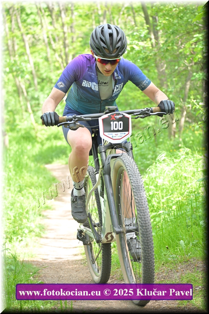 Náhled obrázku: 2025-2369-Most-100.JPG