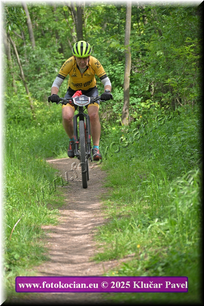 Náhled obrázku: 2025-2422-Most-86.JPG