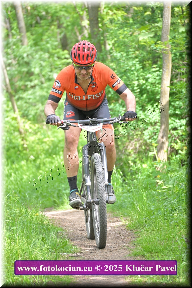 Náhled obrázku: 2025-2428-Most-0.JPG