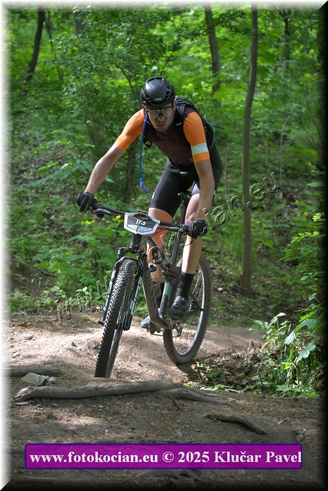 Náhled obrázku: 2025-2455-Most-119.JPG