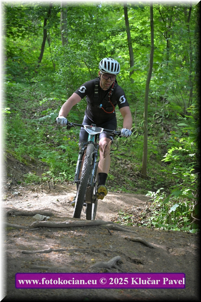 Náhled obrázku: 2025-2472-Most-16.JPG