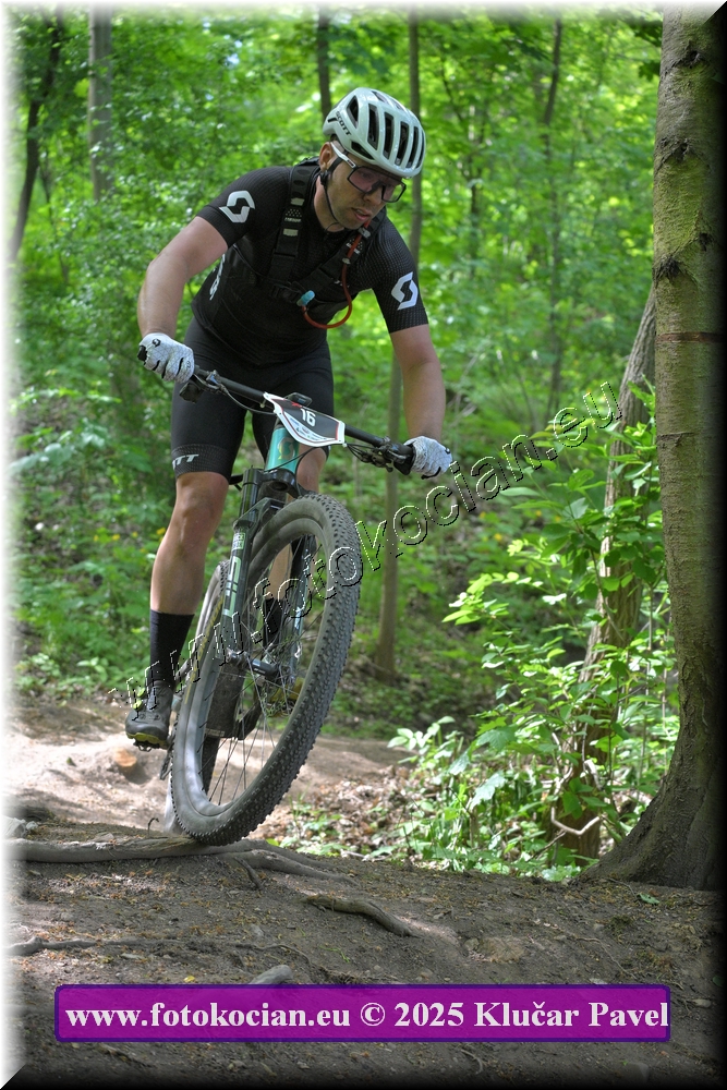 Náhled obrázku: 2025-2474-Most-16.JPG